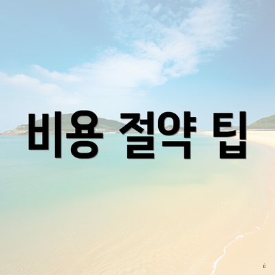 비용 절약 팁