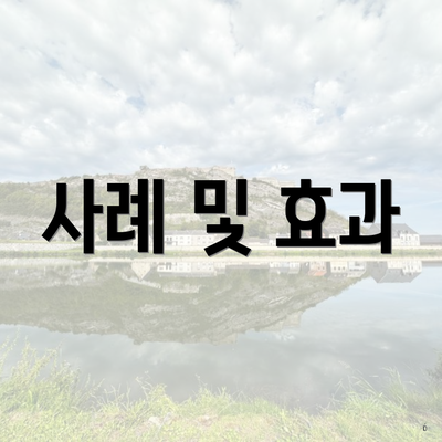 사례 및 효과