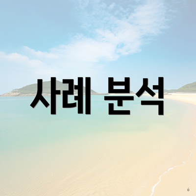 사례 분석