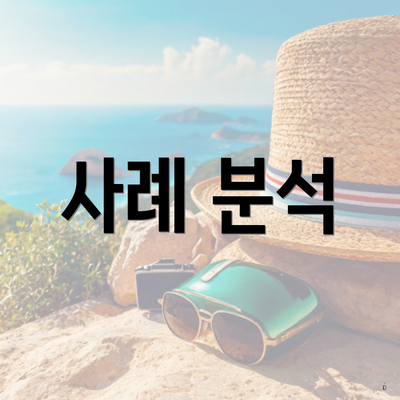 사례 분석