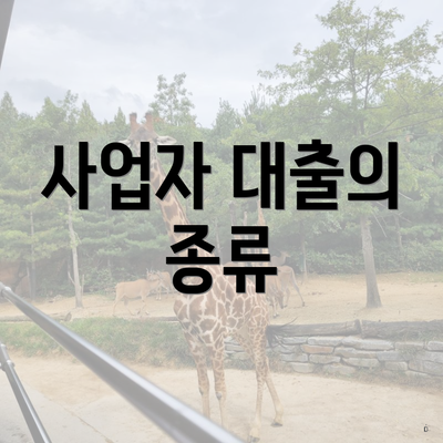 사업자 대출의 종류
