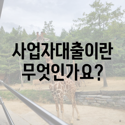 사업자대출이란 무엇인가요?