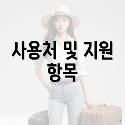 사용처 및 지원 항목