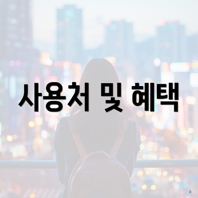 사용처 및 혜택
