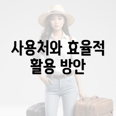 사용처와 효율적 활용 방안