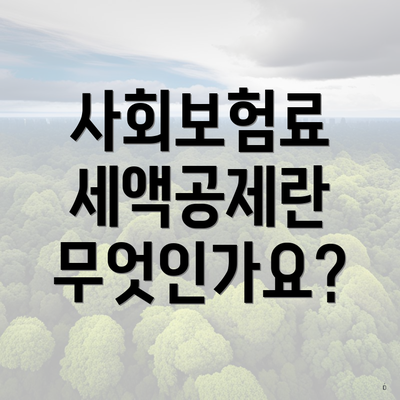 사회보험료 세액공제란 무엇인가요?