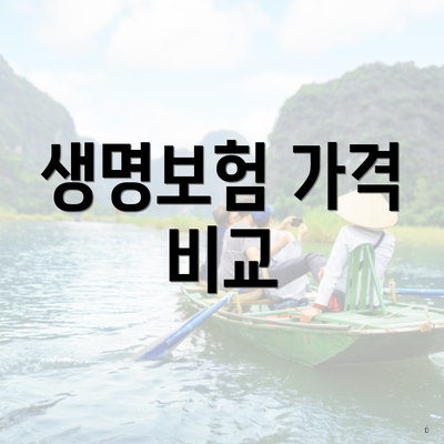 생명보험 가격 비교