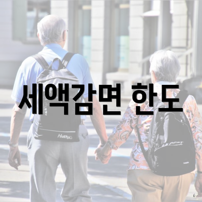 세액감면 한도