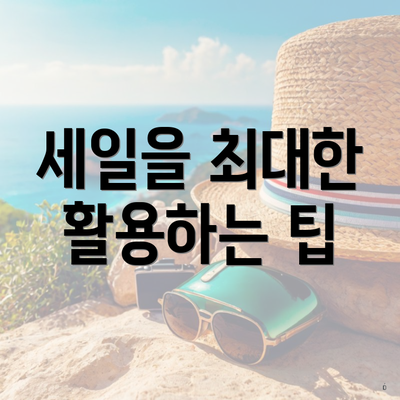 세일을 최대한 활용하는 팁