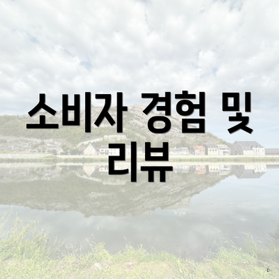 소비자 경험 및 리뷰