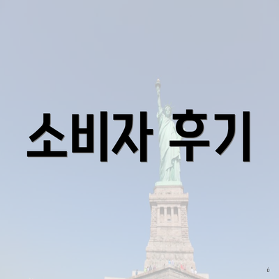 소비자 후기