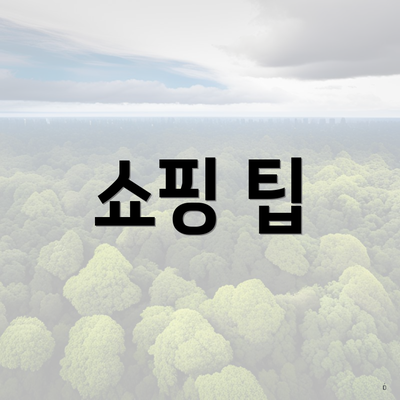 쇼핑 팁