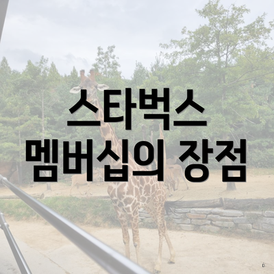 스타벅스 멤버십의 장점