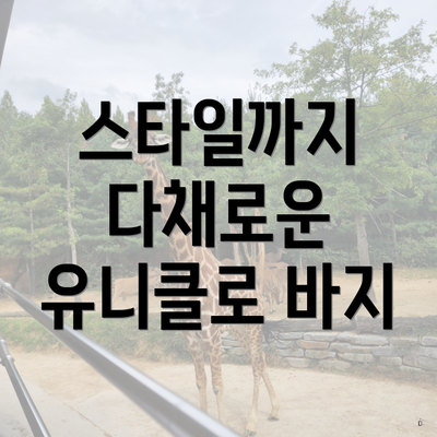 스타일까지 다채로운 유니클로 바지