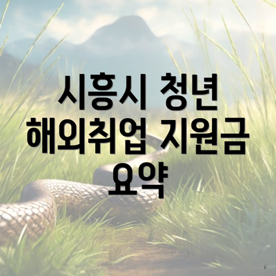 시흥시 청년 해외취업 지원금 요약