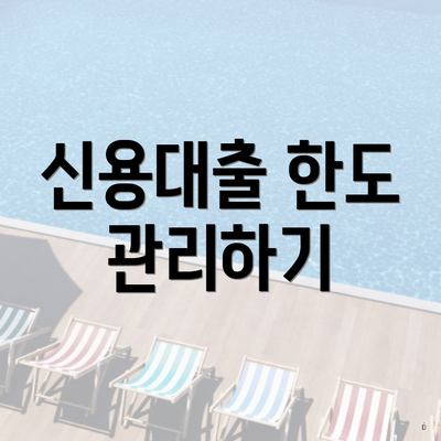 신용대출 한도 관리하기