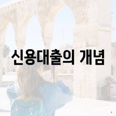 신용대출의 개념