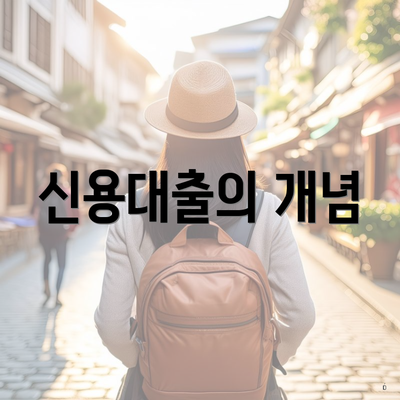 신용대출의 개념
