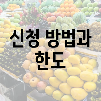 신청 방법과 한도
