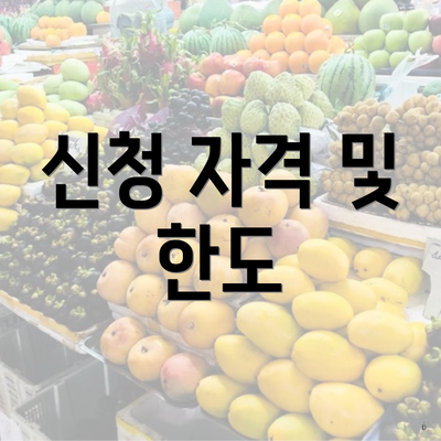 신청 자격 및 한도
