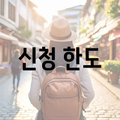 신청 한도
