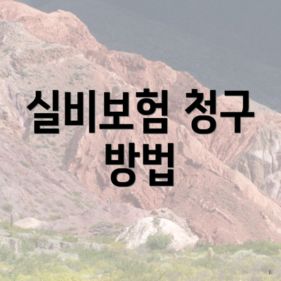 실비보험 청구 방법
