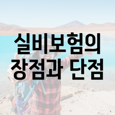 실비보험의 장점과 단점