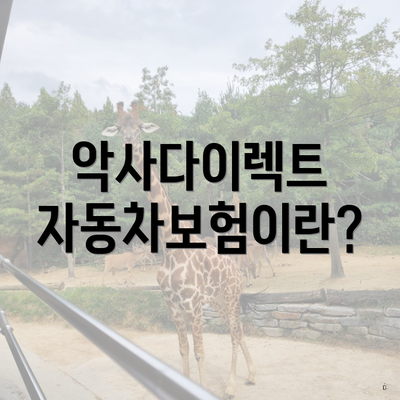 악사다이렉트 자동차보험이란?