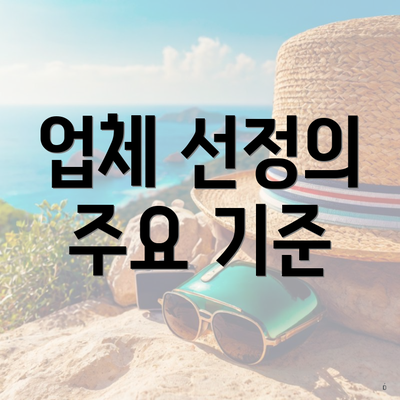 업체 선정의 주요 기준