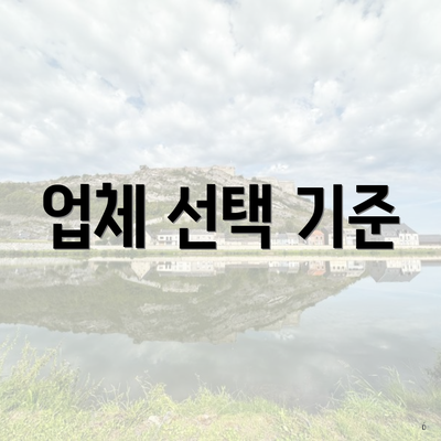 업체 선택 기준