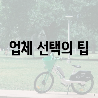 업체 선택의 팁