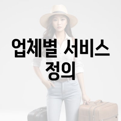 업체별 서비스 정의