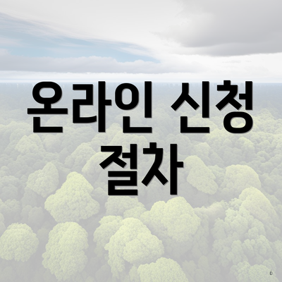 온라인 신청 절차