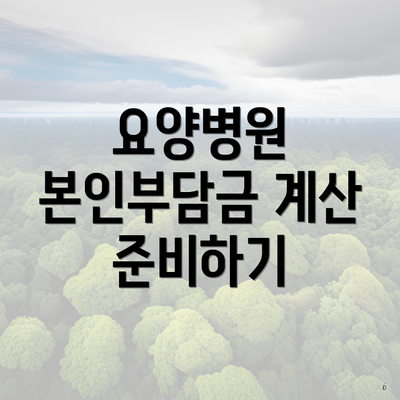 요양병원 본인부담금 계산 준비하기