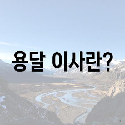 용달 이사란?