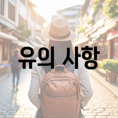 유의 사항