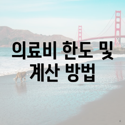 의료비 한도 및 계산 방법