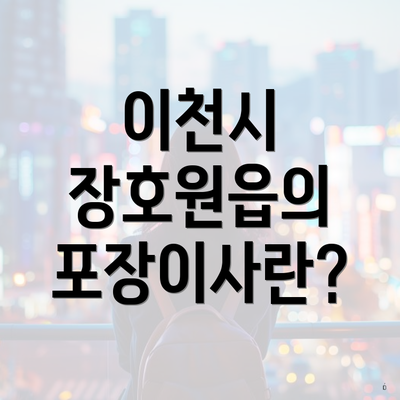 이천시 장호원읍의 포장이사란?