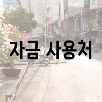 자금 사용처