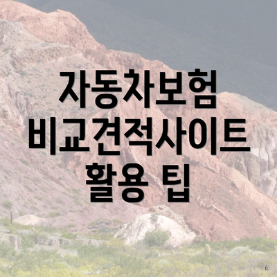 자동차보험 비교견적사이트 활용 팁