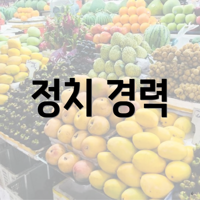 정치 경력