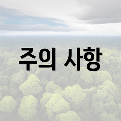 주의 사항