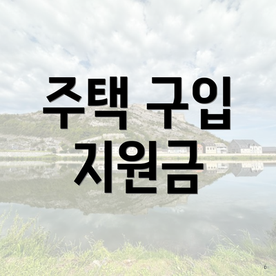 주택 구입 지원금