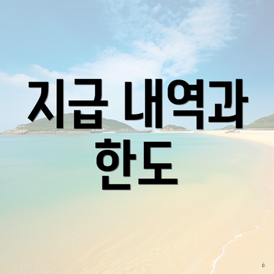 지급 내역과 한도