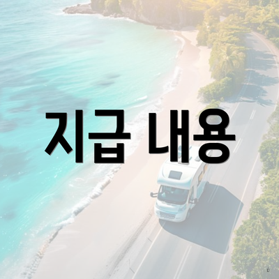 지급 내용