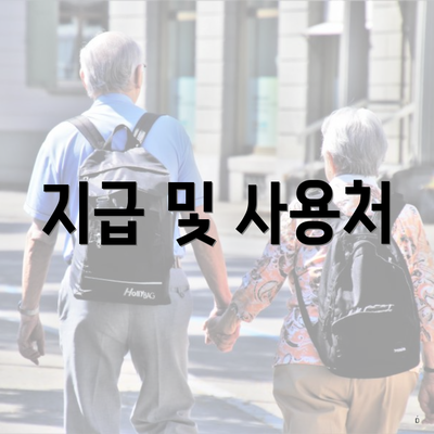 지급 및 사용처