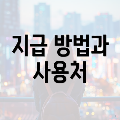 지급 방법과 사용처