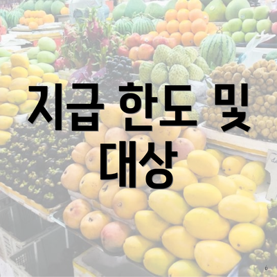 지급 한도 및 대상