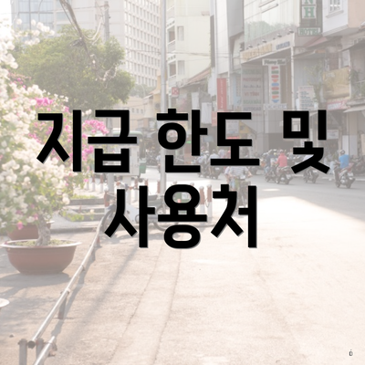 지급 한도 및 사용처