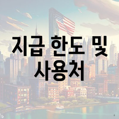 지급 한도 및 사용처
